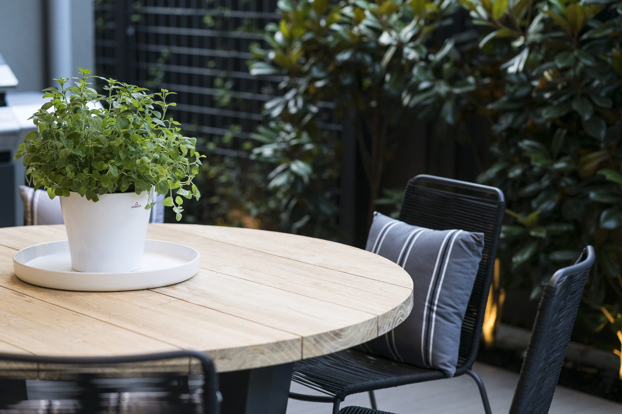 Detail van beplanting in een Brabantse tuin