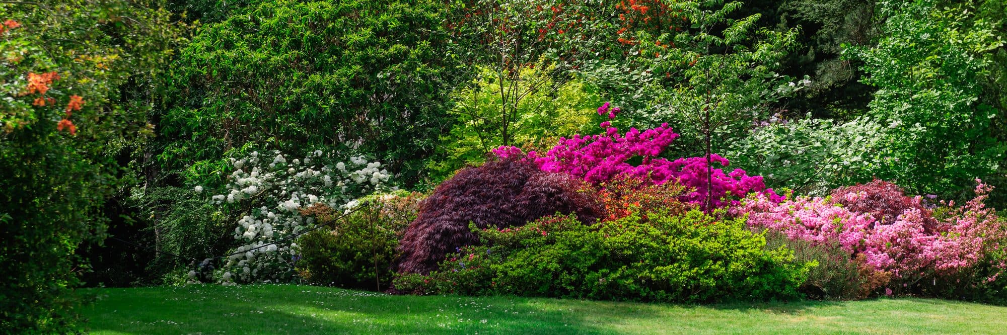 Onderhouden tuin in het voorjaar
